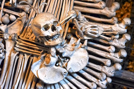 Auch das Familienwappen der Schwarzenbergs ist bis ins Detail aus Knochen und Knöchelchen nachgebildet.Es zeigt unter anderem einen Raben, der in einem Schädel in die linke Augenhöhle hackt.