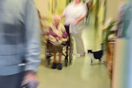 Die Fotos sind entstanden im Altenzentrum der Diakonie Graupa.