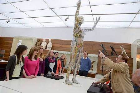 Der Gläserne Mensch war zum Zeitpunkt seiner Entwicklung 1927 eine technische und wissenschaftliche Sensation: Blutbahnen, Nerven und Organe des menschlichen Körpers wurden sichtbar, ohne dass er aufgeschnitten werden musste.