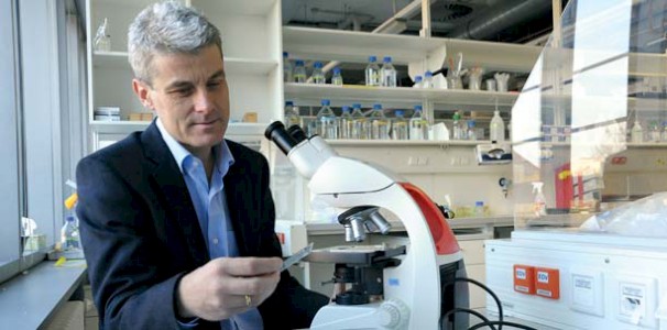 Prof. Dr. Gerd Kempermann